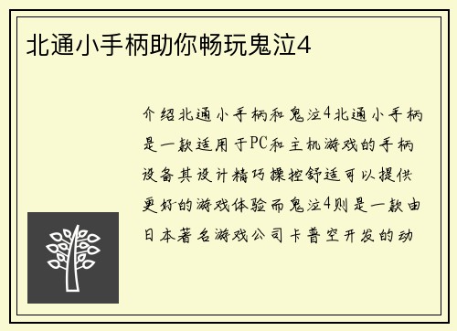 北通小手柄助你畅玩鬼泣4
